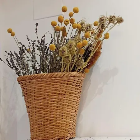 Breakfast At St Peter Rzym